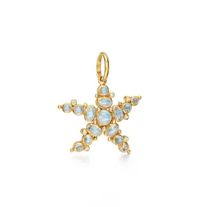18K Sea Star Pendant