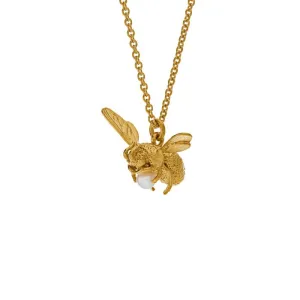 Flying Bee with Pearl Necklace