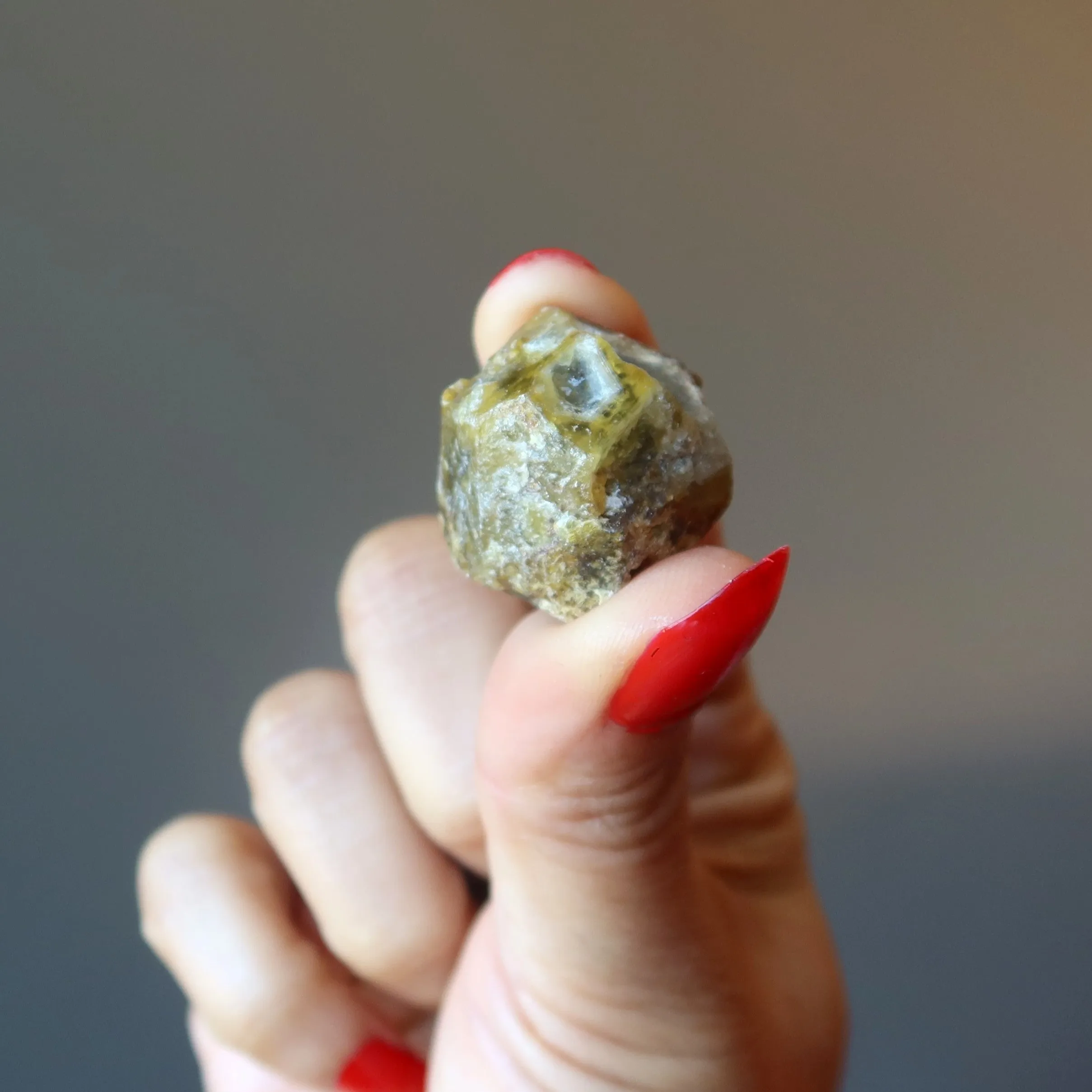Garnet Raw Crystal Set Health Wealth Green Stones