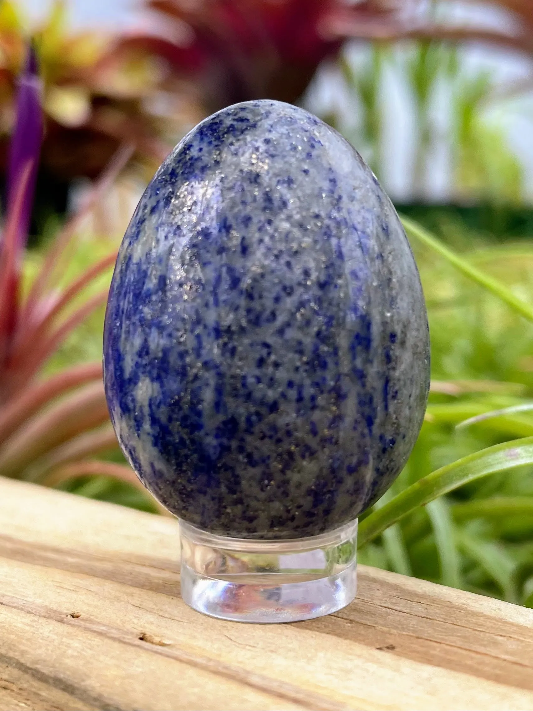 WYSIWYG Lapis Lazuli Crystal Egg